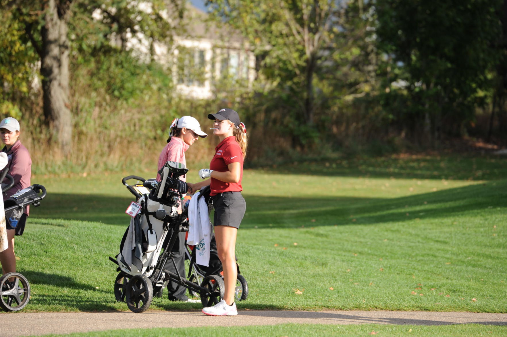 Central Golf